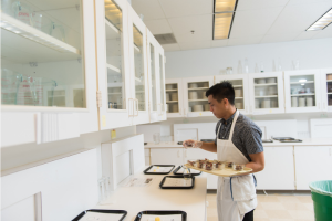 person preparing samples for a sensory test