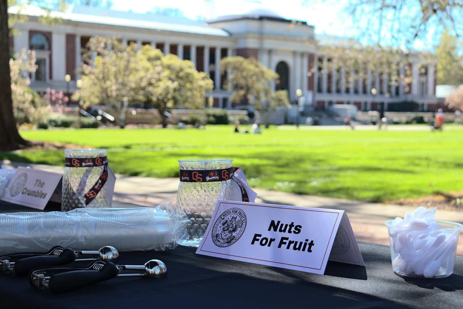 Photograph of the ice cream team Nuts for Fruit team sign with the memorial union and green quad in the background